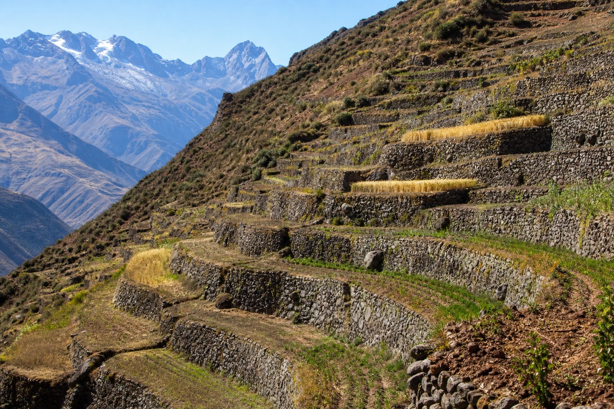 The Inca citadel of Machu Picchu