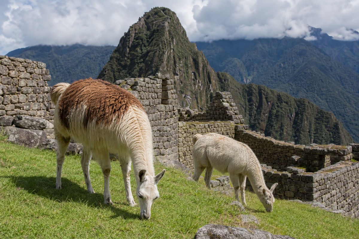 The Inca citadel of Machu Picchu